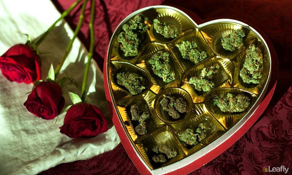 HIGH_TIMES_Mag's tweet photo. 10 Reasons Why Weed Is Actually The Best Valentine You've Ever Had.
https://t.co/Y6DBj5fbRl https://t.co/oICl23Vnrf