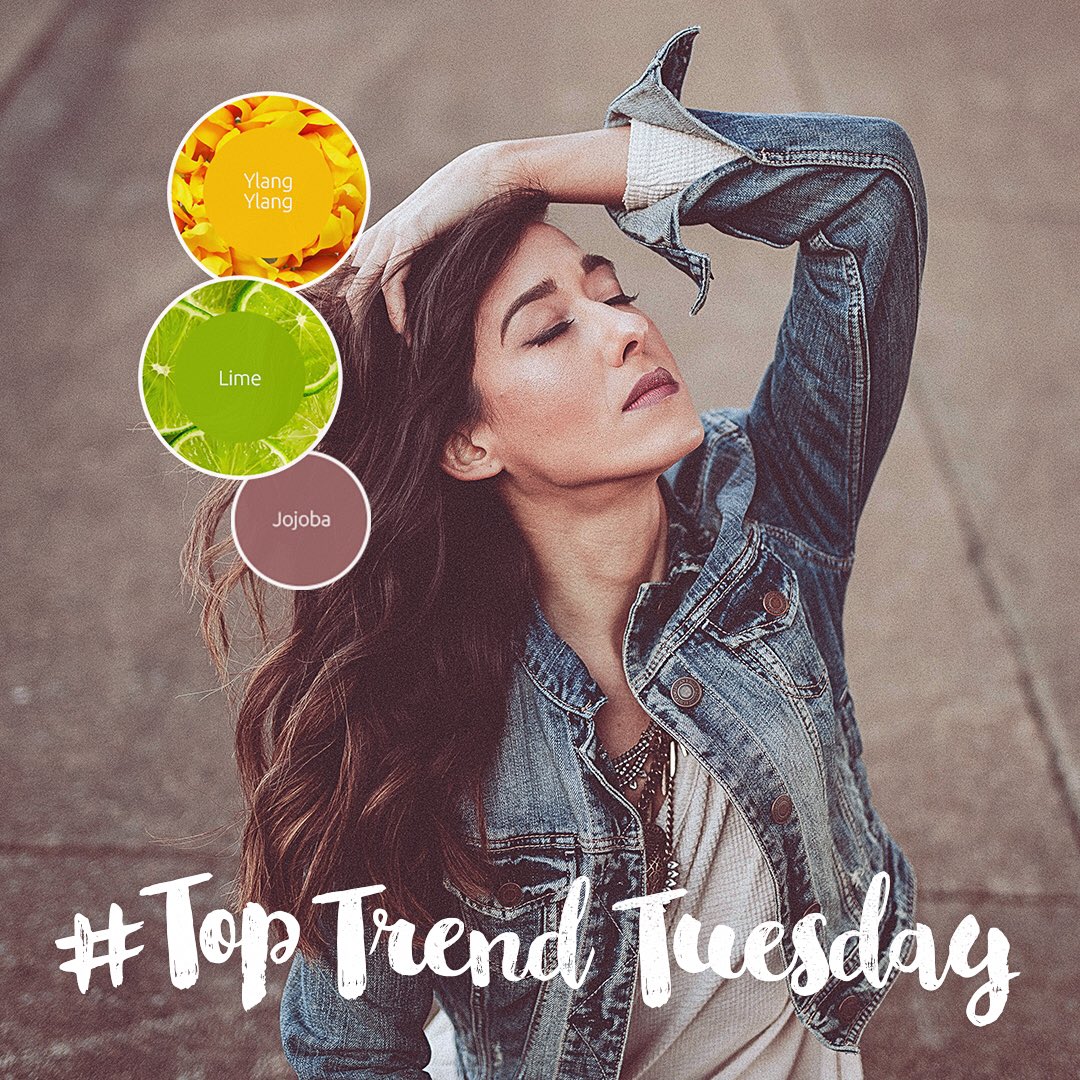 Latherology's tweet photo. Happy Valentine's Day! It's #toptrendtuesday Ylang Ylang, Lime &amp; Jojoba. 
#sulfatefree #parabenfree https://t.co/ZsFmdTBO0E