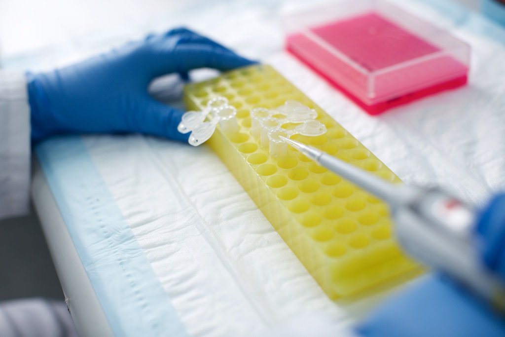 Exciting new position available for Research Assistant in Embryology! Find out more at cmri.org.au/careers