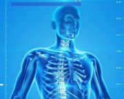 UCDMedicine's tweet photo. MD &amp; PhD Medical Traineeships in Human Anatomy https://t.co/lYH4UwWPrc https://t.co/xlBAGa6JB7