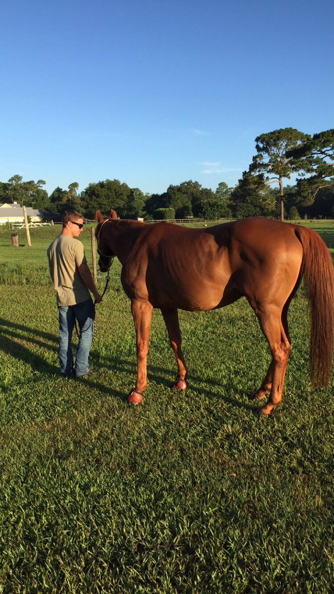 Taylor Stein tweet media