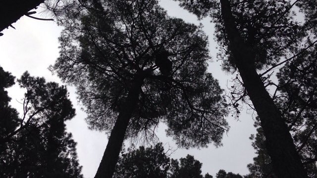 Bellatrixlist's tweet image. Mi primer rol 💚 {Un Doloroso Recuerdo} @pottertty