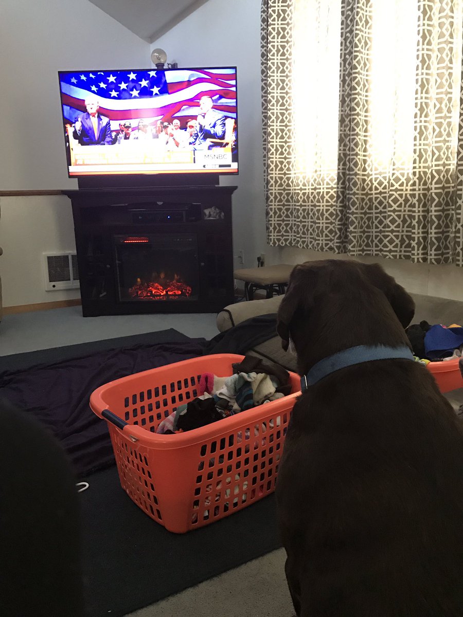 Kailey_VanDeHey's tweet photo. Even my dog has been brainwashed by the news https://t.co/fxhmKxq2dM
