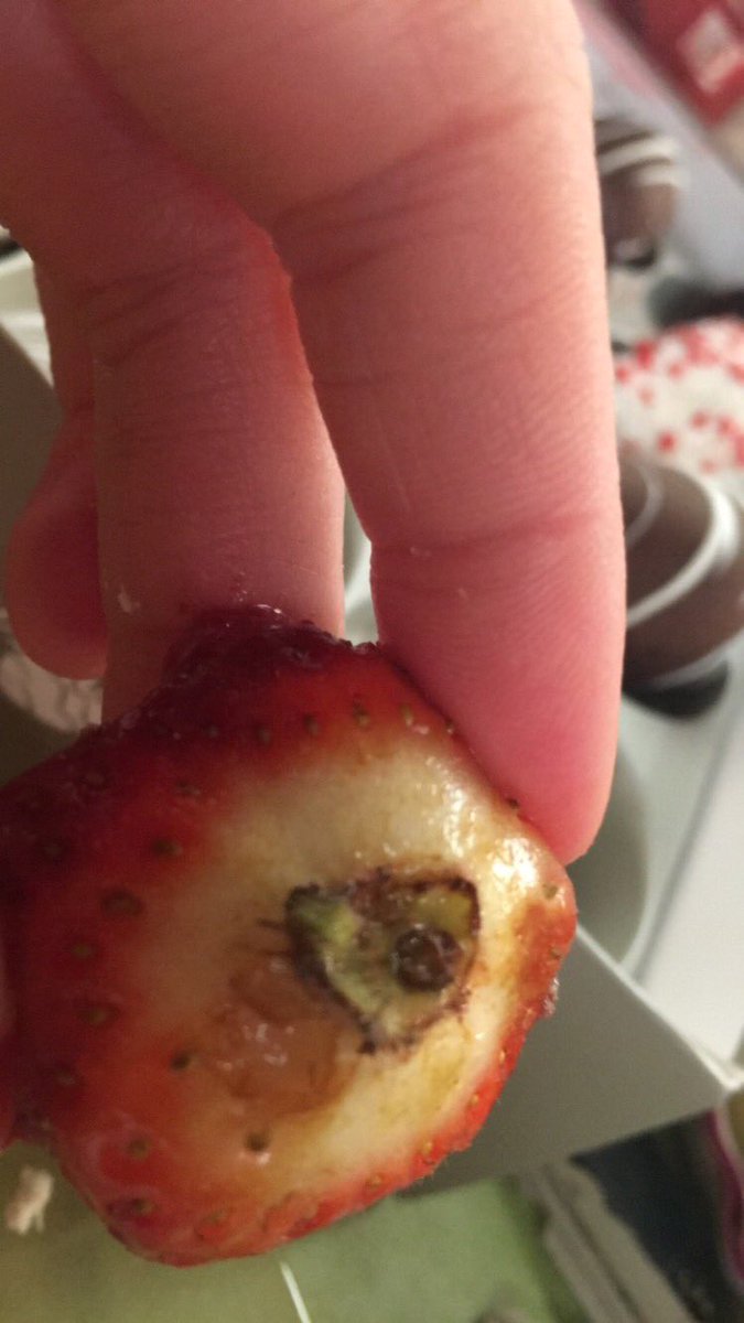 acoussens's tweet photo. @SharisBerries Got my surprise yesterday! Have ordered from them 4 times this year and this is what they sent this time 🤢 https://t.co/YVN6wMXH4l