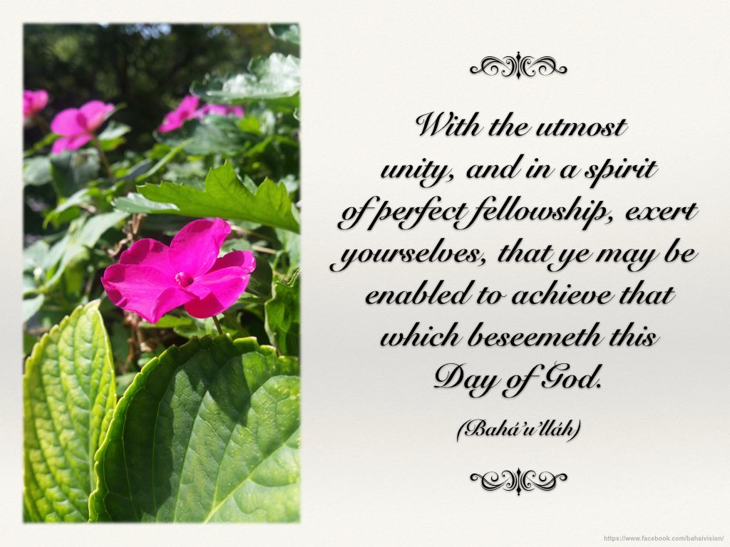 BahaiVision's tweet image. #unity #fellowship #God #Bahai #Faith