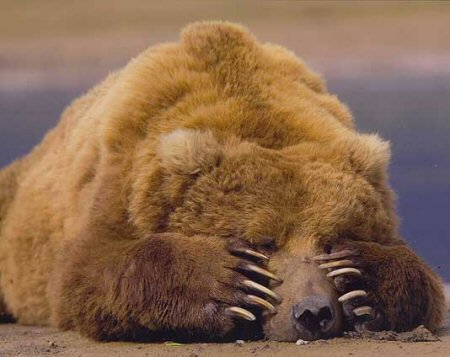 otsotsilva's tweet photo. Me siento así 😴😴 https://t.co/SHwegEyoOU