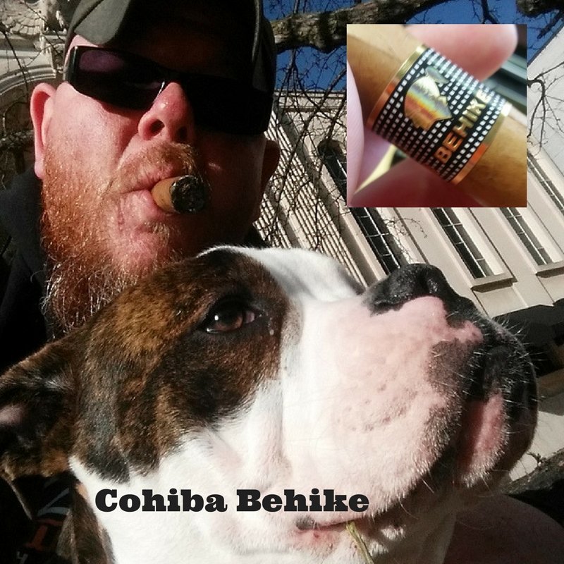 castaoutpost's tweet photo. Mr Wayne gifted me this.  Odin and I went and sat at the square in downtown York while I made sweet love to this marvelous creation. https://t.co/NSKVnRXcjV