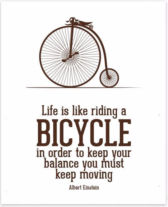 TimHockey's tweet photo. One of my faves...I wonder why? #Einstein #bikes #progress https://t.co/w6Ya4AwK4s