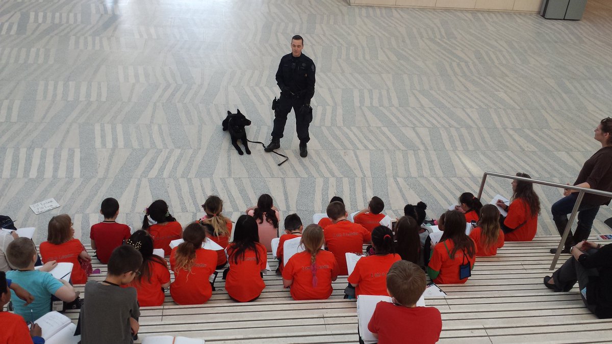 CityHallSchool's tweet photo. Thanks @EPSCanine for terrific presentation. McLeod Gr5s loved meeting #PSDEvan & learning about obedience & teamwork. #epsb #CareerPathways https://t.co/YTkCowNt2K