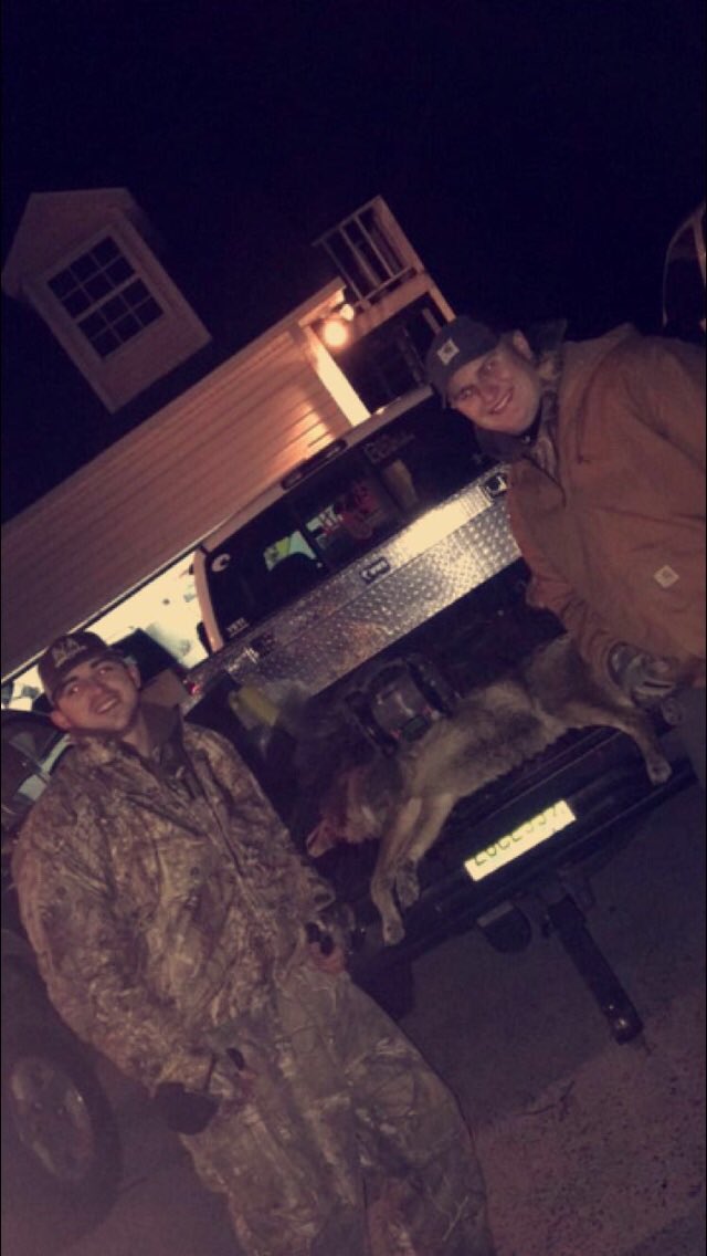 Team members @EthanJones54 and @Cyle_Collins_2 put a big male coyote to sleep a few weekends ago. #inyourface