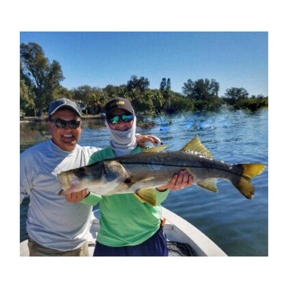 FishNFinatic's tweet image. Jack is a police commander and a great guy. His first fish of the day was a monster. This #snook measured right at 40". #tampabayfishing
