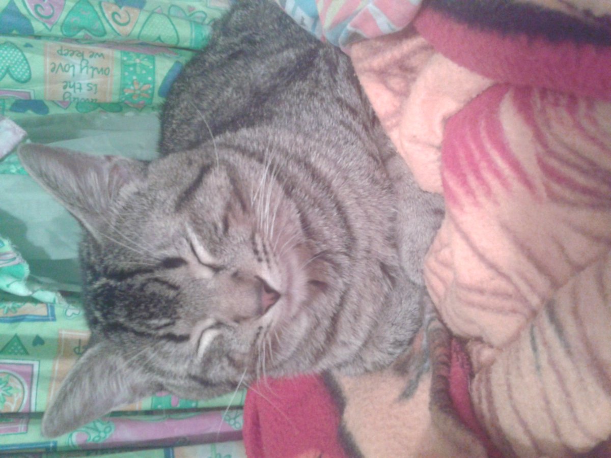 DIVINO