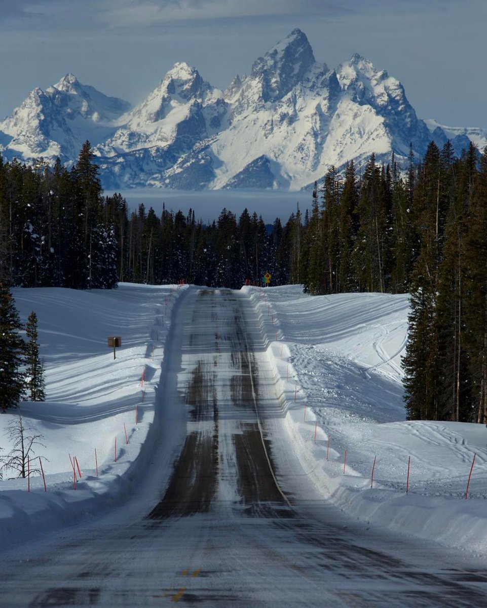 Brain Farm tweet media