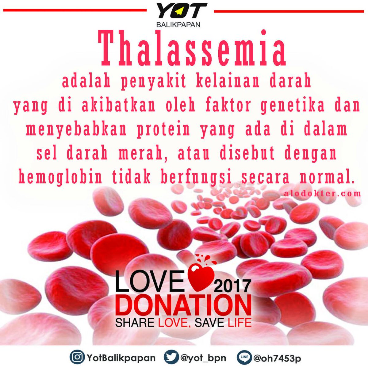 YOT Balikpapan tweet media