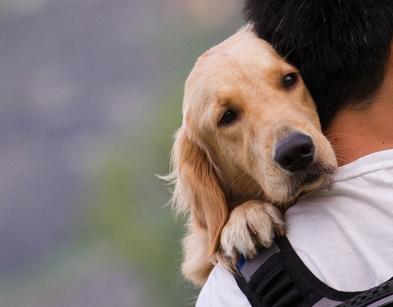 ElenaCardenasR's tweet image. El amor no conoce de especies.