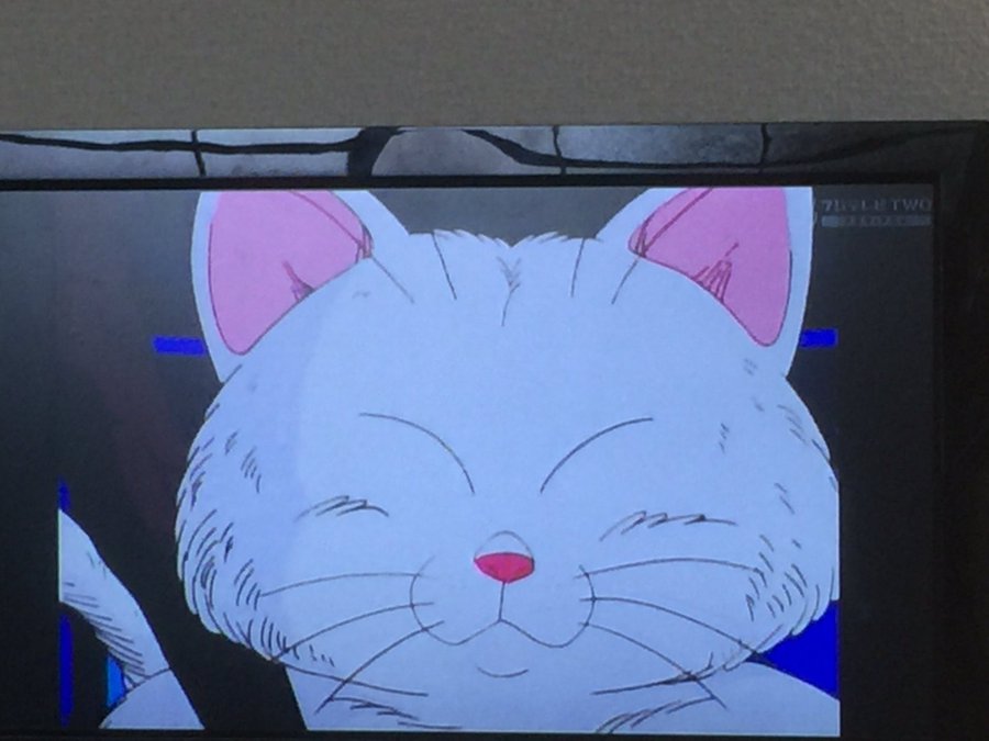 ドラゴンボール 神様の猫キャラまとめ かわいい3体 漫画とアニメ情報局