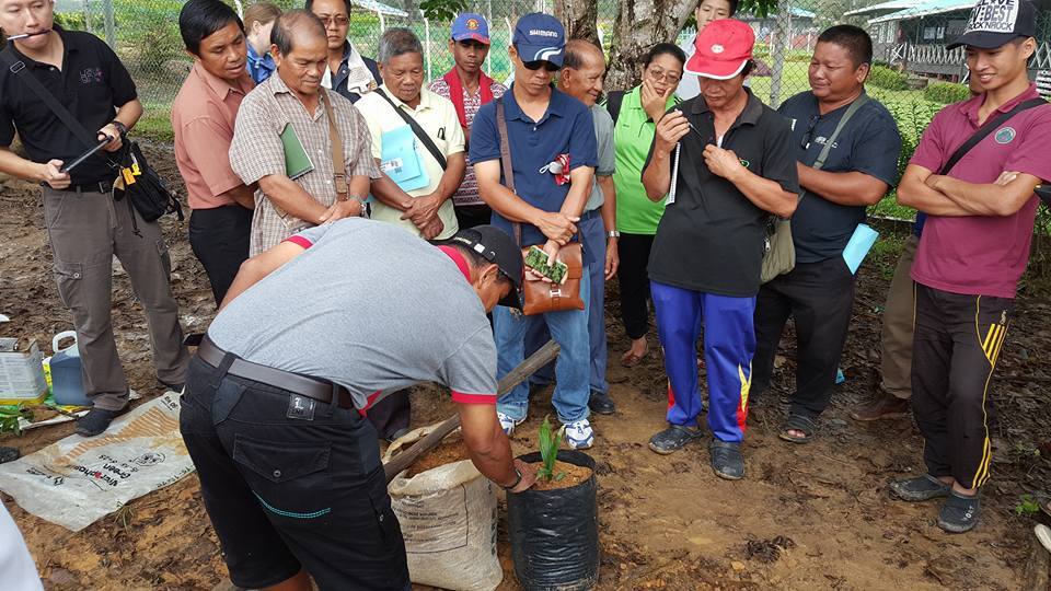 PrasadVasudevon's tweet photo. Mill conducting training and coaching to it's smallholder suppliers. Driving partnerships for #transformation @rurality_org #tftimpact https://t.co/9pbhUQYTgf