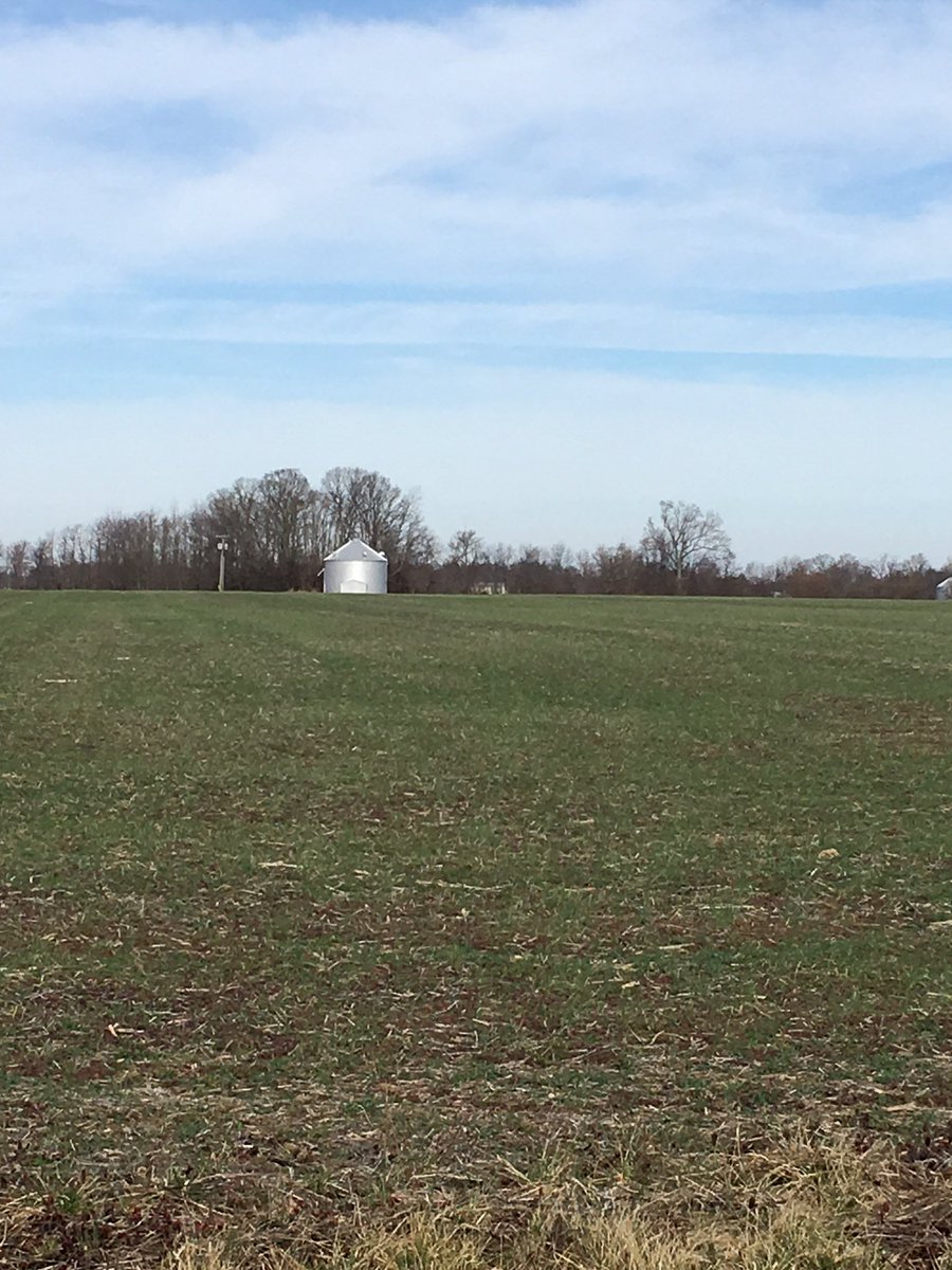 PlantCoverCrops's tweet photo. Cover Crop Rye @robisonfarms southern Indiana farm. Looks beautiful! https://t.co/duPqy8A8hD