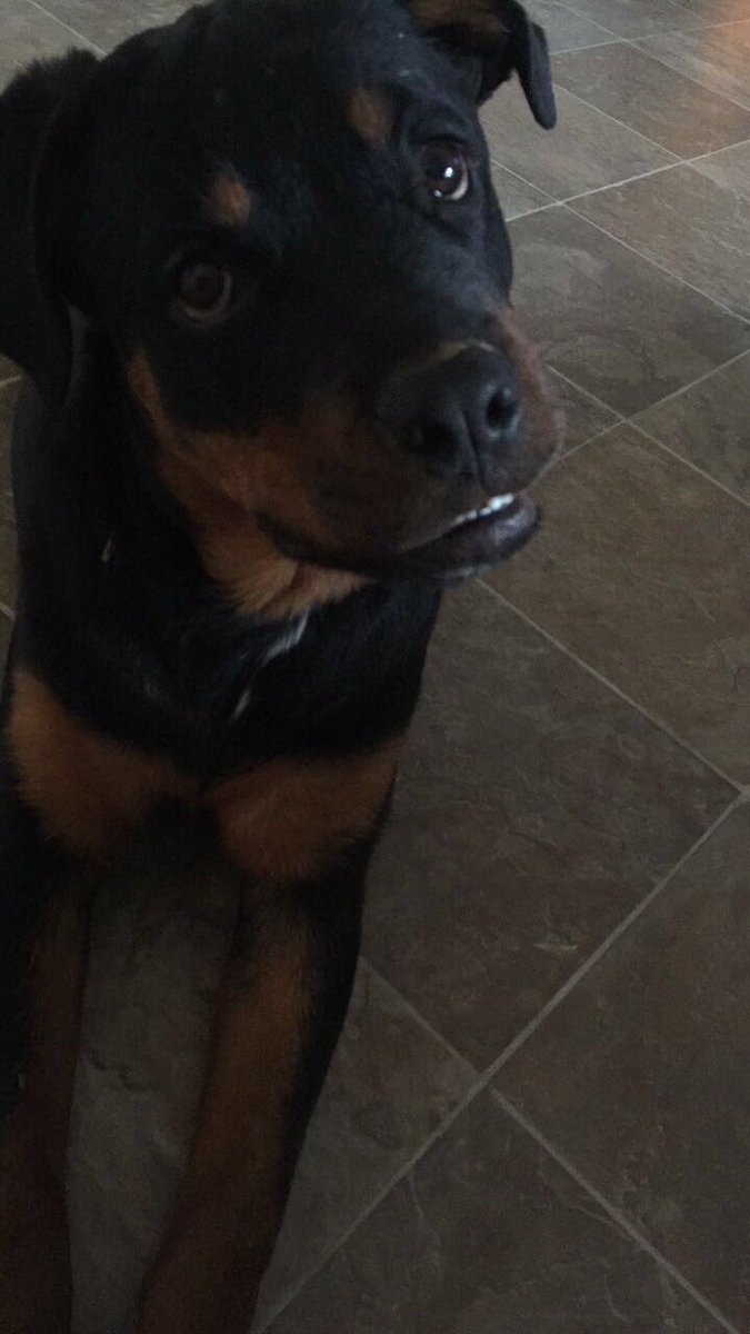 samkshep's tweet image. Who says you can only have 1 valentine? I have multiple and I'm not mad about it