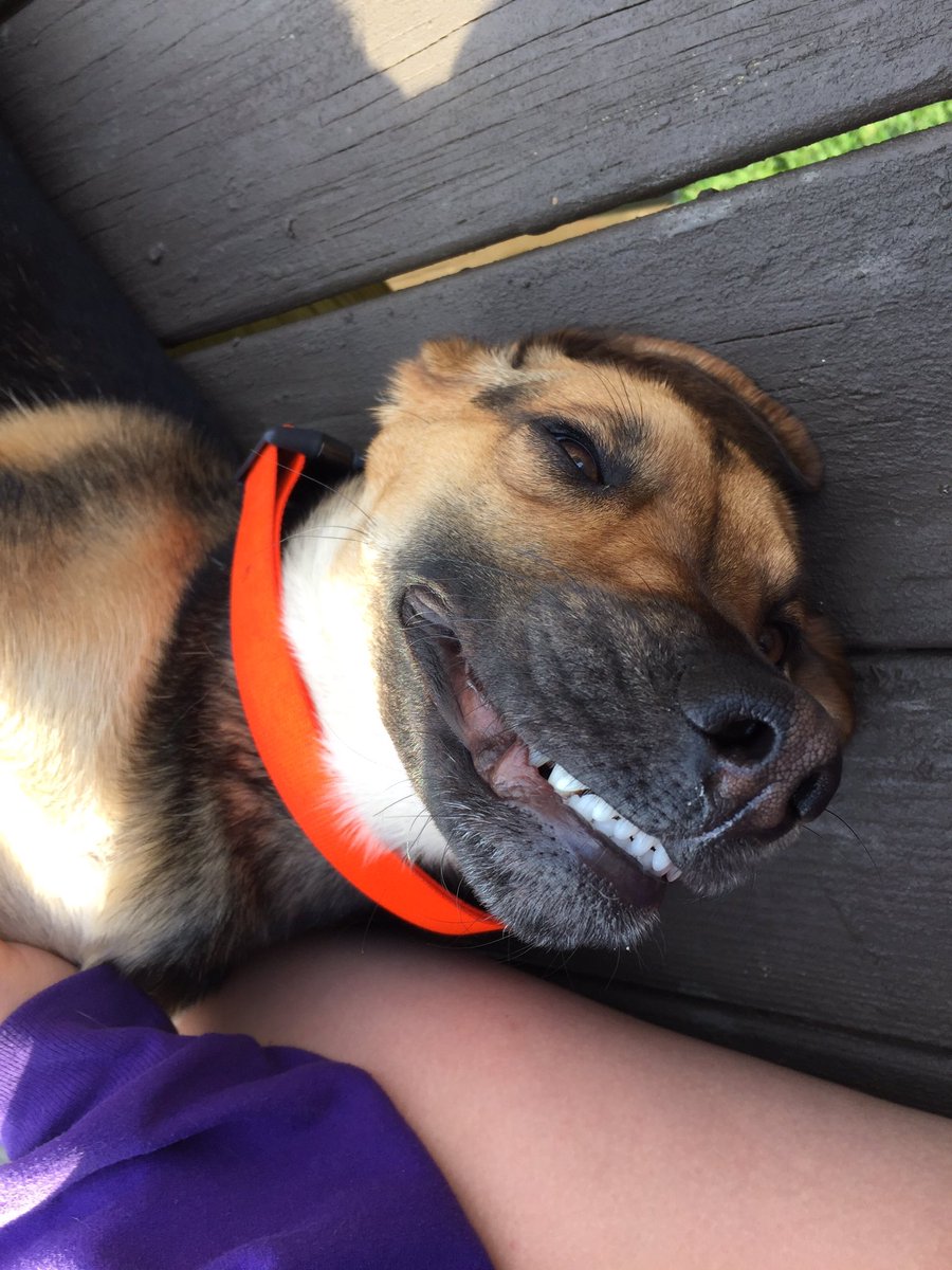 samkshep's tweet image. Who says you can only have 1 valentine? I have multiple and I'm not mad about it