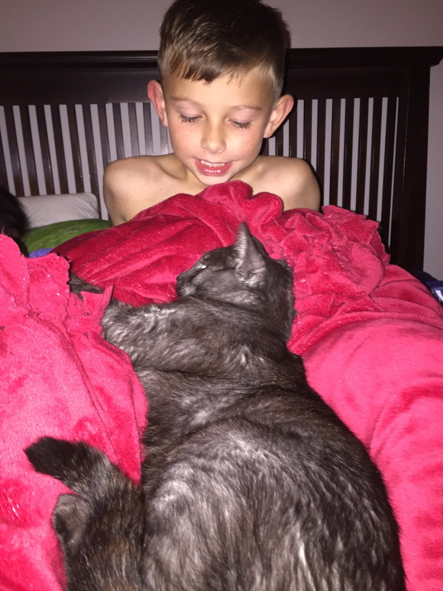 samkshep's tweet image. Who says you can only have 1 valentine? I have multiple and I'm not mad about it