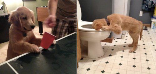 CauseWereGuys's tweet photo. "What're your plans for the night?" https://t.co/lLW3xfz2th