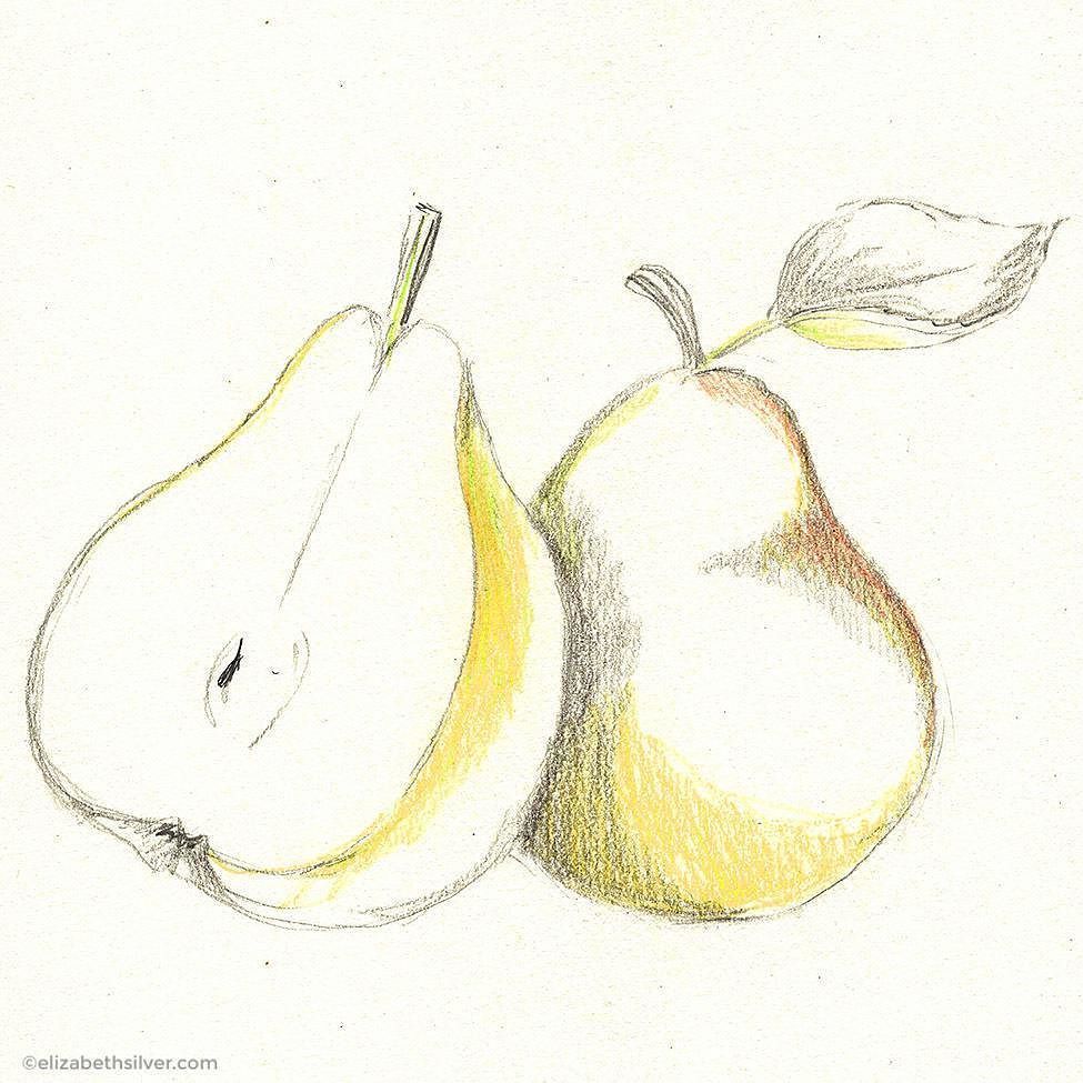 esilverdesign's tweet photo. 35/100: Pear Sketch #the100dayproject #100dayproject #100daysofFruit #illo #illustrationa… https://t.co/MB7qTxYVfo https://t.co/gwyTVSDCMU