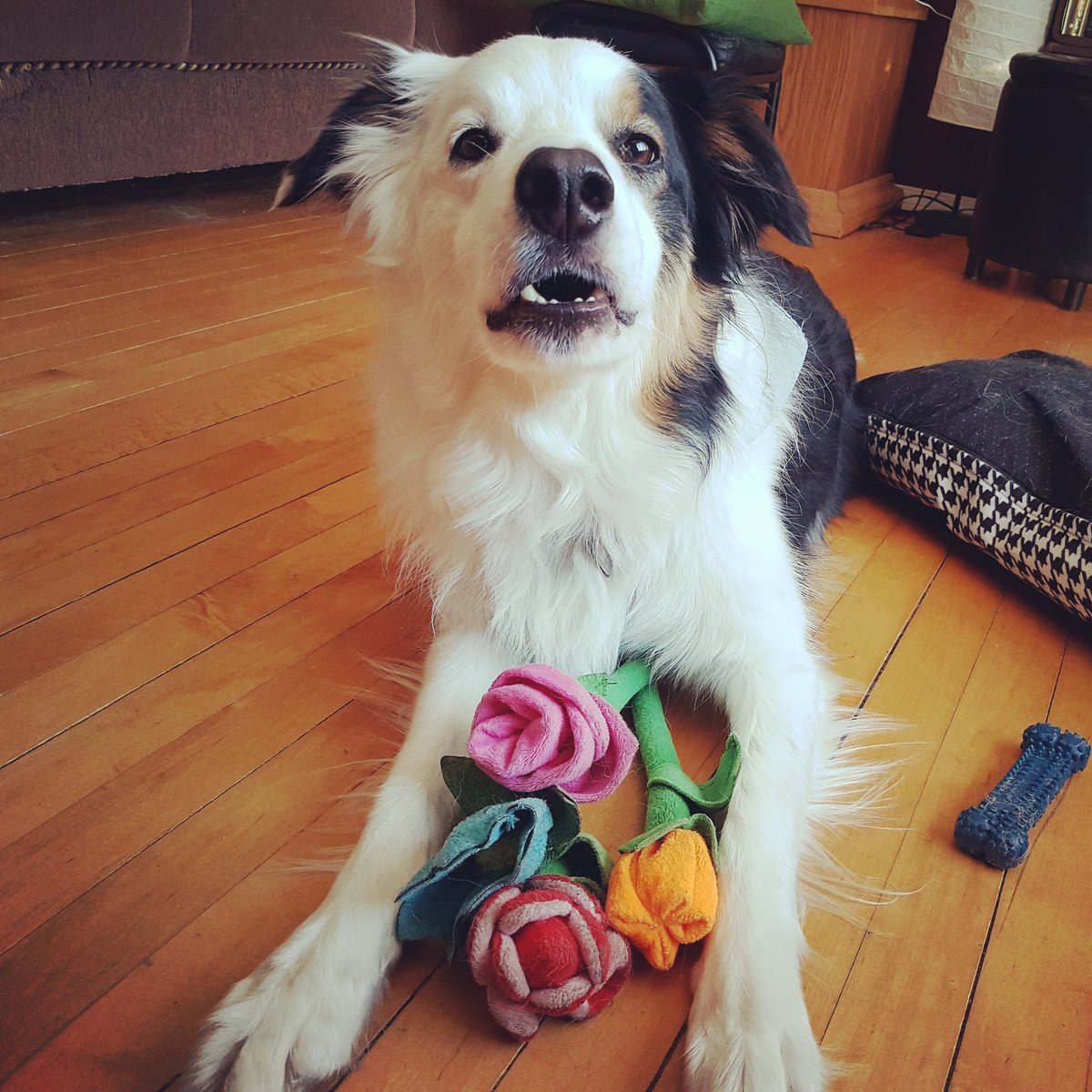 borderKyle's tweet image. Happy Valentine's Day! I love love! #valentines