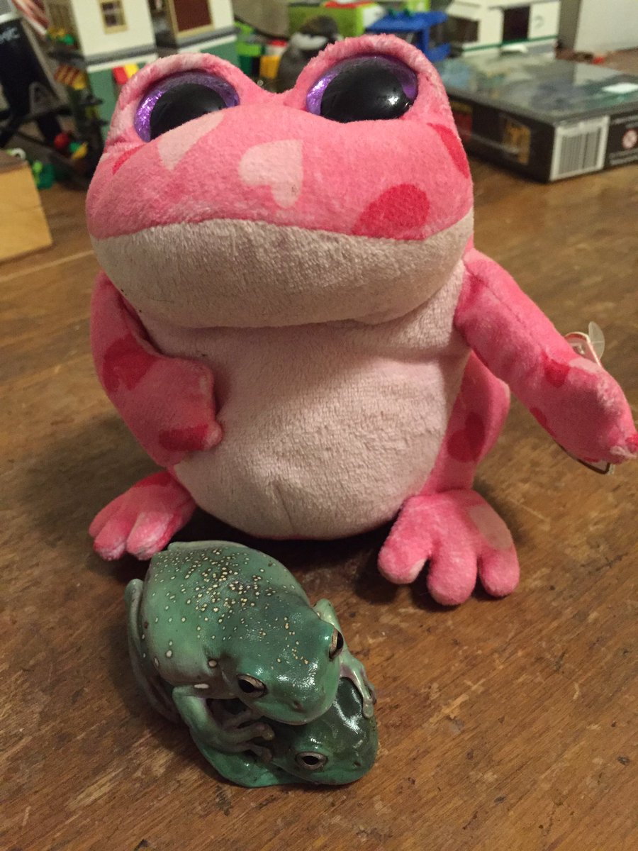 binguses's tweet image. happy valentine's day 🐸💞