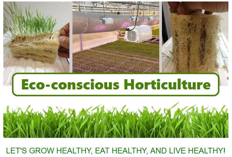 HempGrowMats's tweet photo. Get growing on 100% Earth-friendly Growing Medium @HempGrowMats  #gardening #nutrition #health #Sustainability #Hemp #Michigan https://t.co/r72tZmtSu3