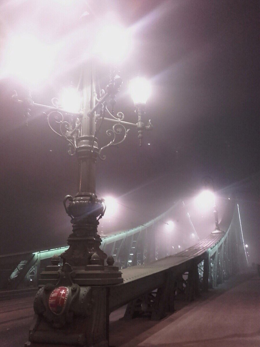 UaBudapest's tweet photo. Foggy #budapest town https://t.co/Bc40c1Kwjp