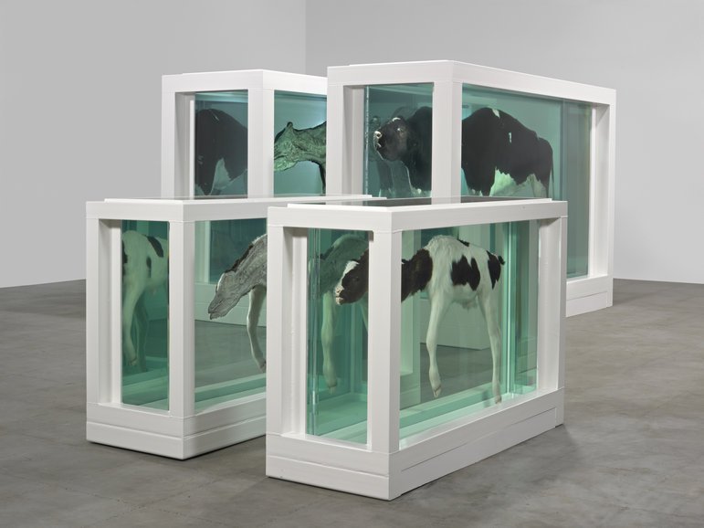 shadedminds's tweet photo. Damien Hirst https://t.co/LSjnroQEOL