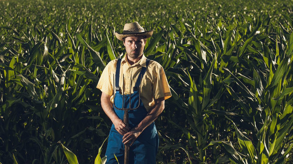 [강준만의 칼럼방] 왜 '우리가 몰랐던 나라'라는 말이 나오는가? : 가용성 편향

사실 크루그먼이 미국을 제대로 이해하지 못하고 있는 게 아니다. 한국인인 나도 잘 아는 걸 크루그먼이 모를 리 없다.

goo.gl/JC2hH1
