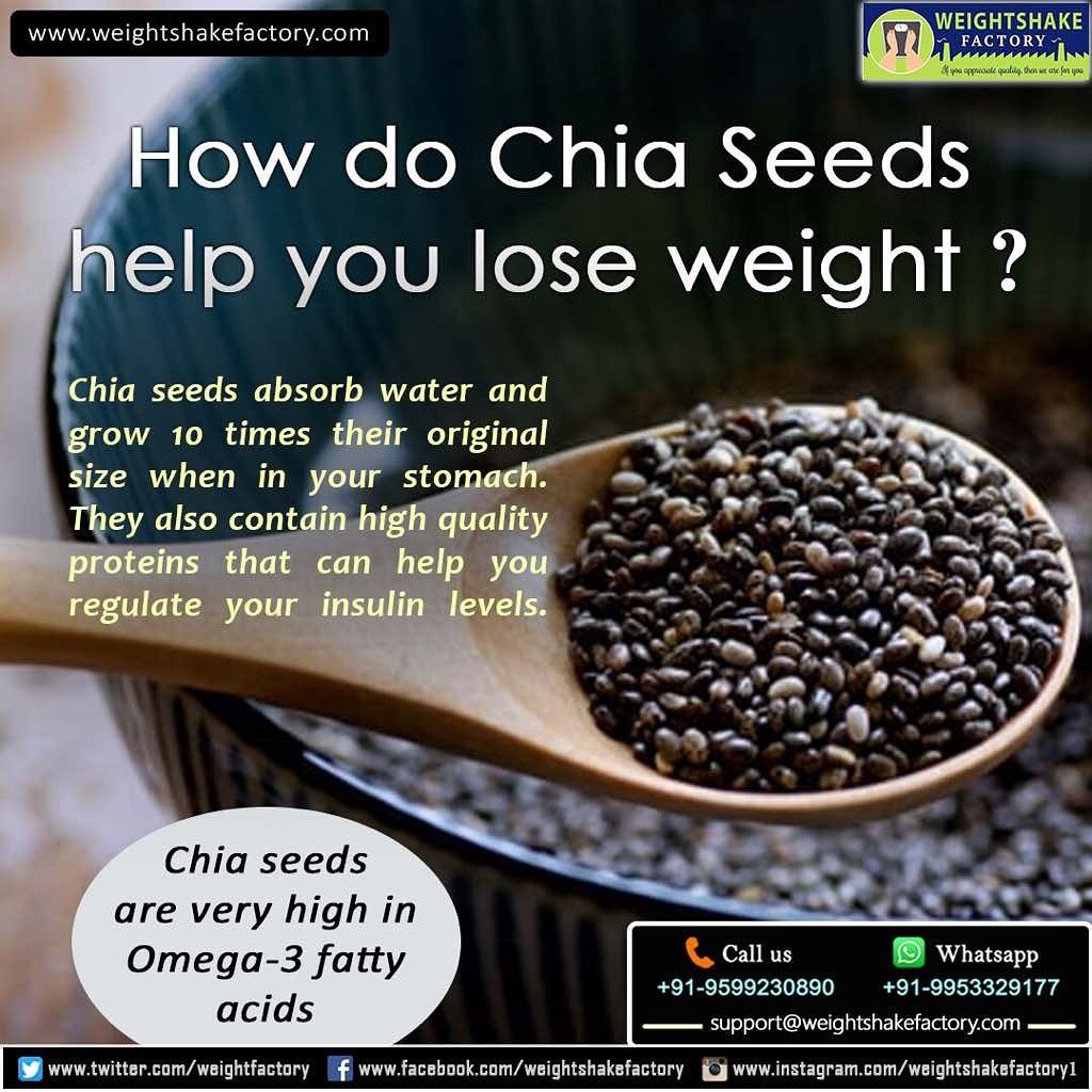 Can Chia Seeds Help You Lose Weight Can Chia Seeds Help You Lose Weight new images Can Chia Seeds Help You Lose Weight Can Chia Seeds Help You Lose Weight new foto