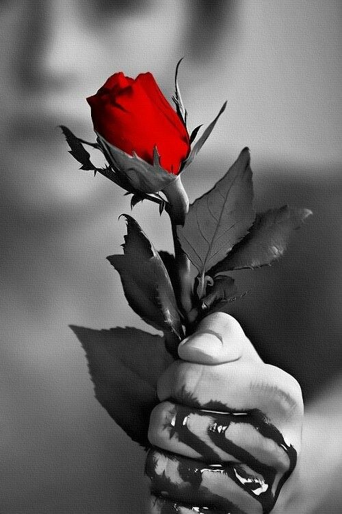 aldocalamaro69's tweet photo. #HappyValent @la_nena_delgado clAmor y Sooooooolll de mi vidaaa ... https://t.co/gOgSru07i5