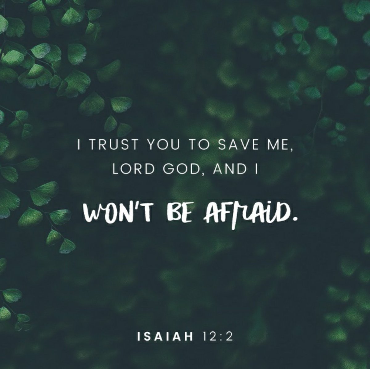 FBA_singles's tweet photo. Fear not. The Lord will save you.

Read: Isaiah 12:2 ❤ https://t.co/IdsYkMGo3T