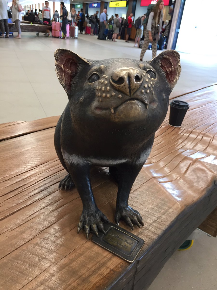 davidghamilton1's tweet photo. New devil sculptures at Hobart airport are wonderful! #Tasmania https://t.co/nyWwXk5CsW