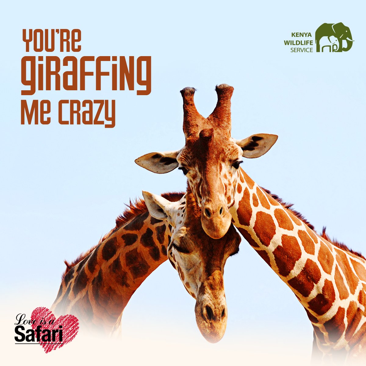 AKenyanGirl's tweet photo. Best brand comms on Valentine's I've seen this year is from @kwskenya 
OK maybe I'm biased cause...animals are bae https://t.co/NLK6iO5i66