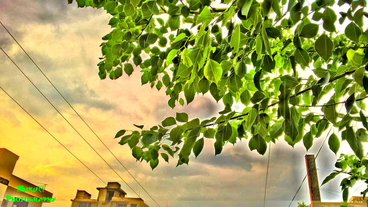 Muk_sha_'s tweet photo. #EyeOfRajasthan#evening #sunset #photography #India #rajasthan #natgeo #photographer #rajasthaniphotographer #NewAccount #love #valentine https://t.co/VsfI7aa2Gk