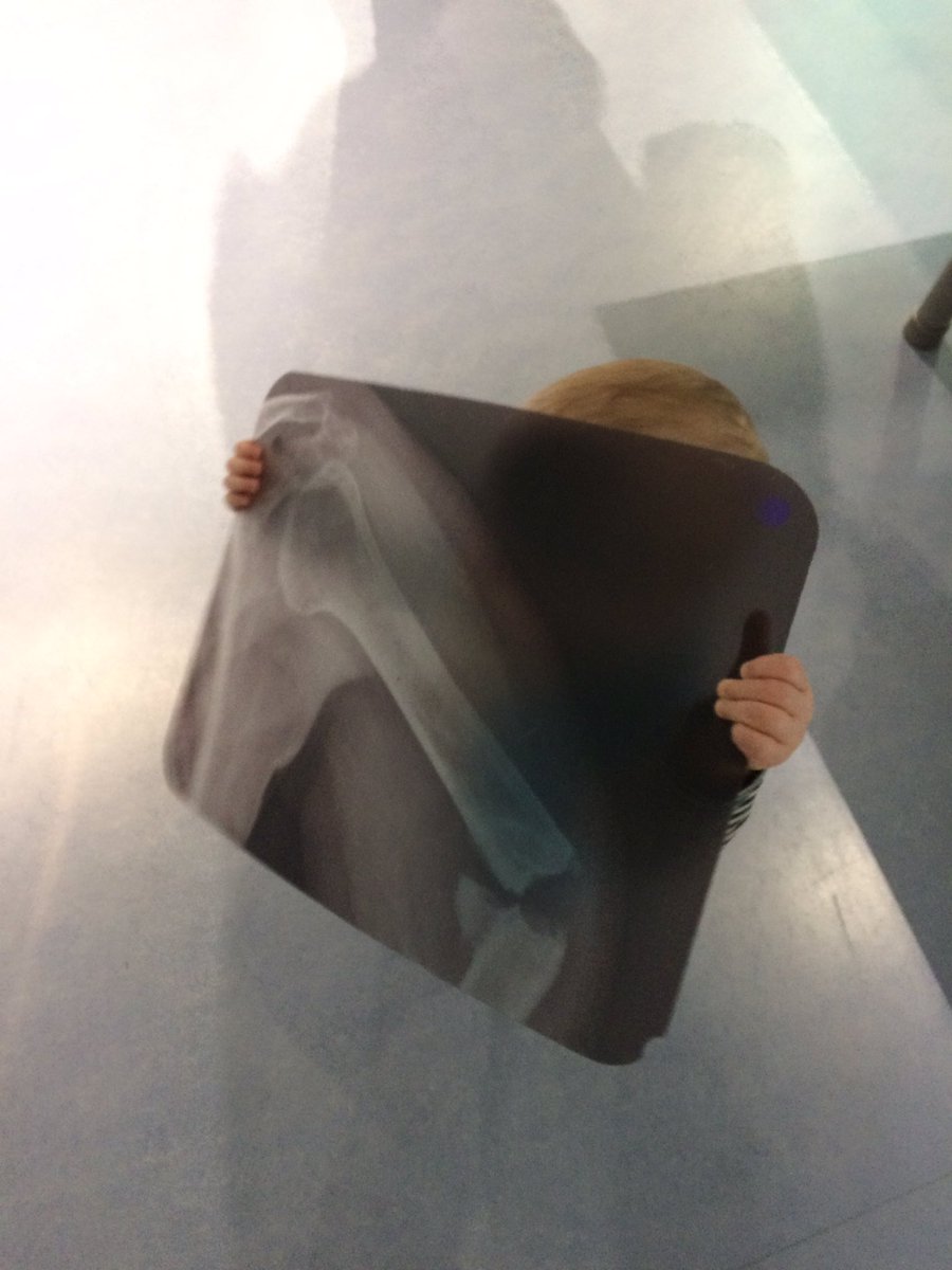DevonDazeBlog's tweet photo. Lovely day @eurekamuseum #allaboutme #spacetrek! @kidsinmuseums #yorkshire #halifax #halfterm #uktravel #activekids #notindevon #devondaze ๐ https://t.co/8NP8sRPUWH