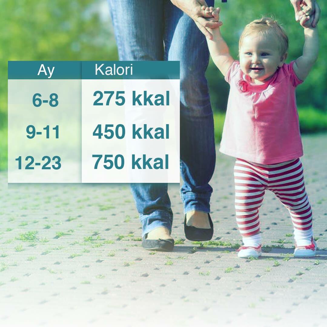 6. ayını doldurmuş bebekler için tamamlayıcı besinlerden günlük olarak alınması gereken ortalama enerji miktarını biliyor muydunuz?