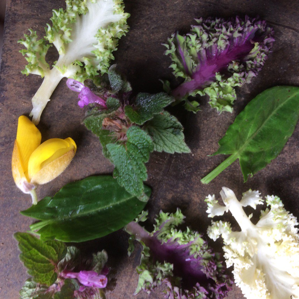 Nice little picking of garnishes for #Heima Brading
