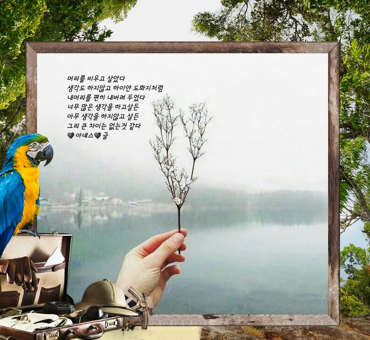 <a href="/lguplus01058861/">아녜스</a>