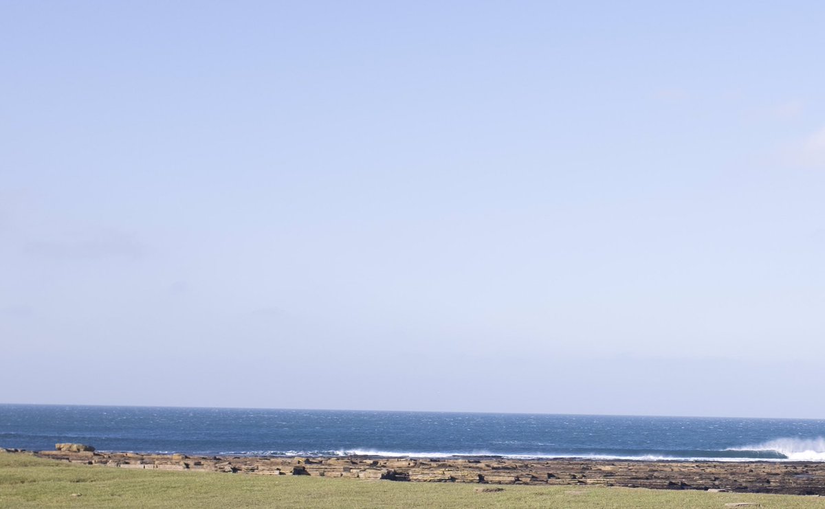 ‘You can't study the darkness by flooding it with light,’ Edward Abbey. Ten under in strath halladale live now on backwa.sh