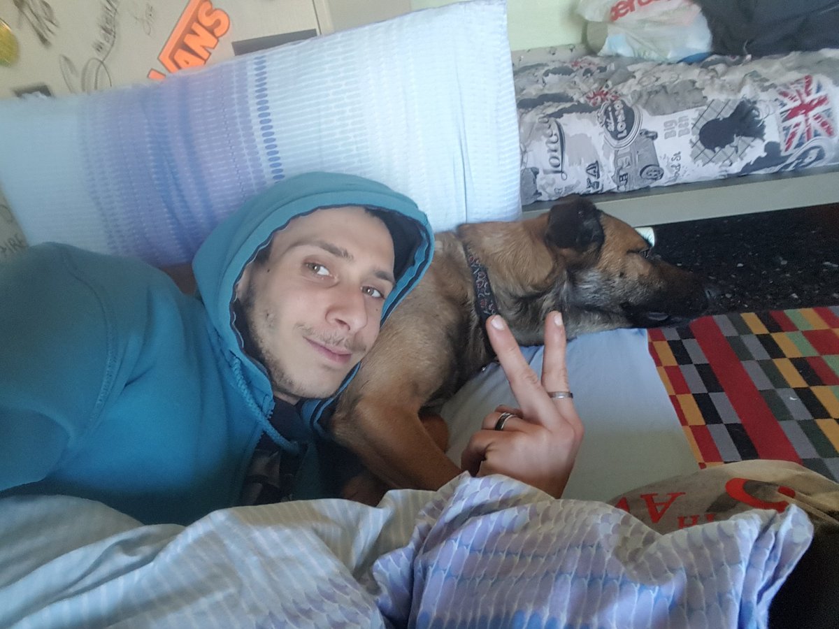 timpale7's tweet photo. Il mio nuovo cuscino 😍😂😂 https://t.co/Fc12k7JciL