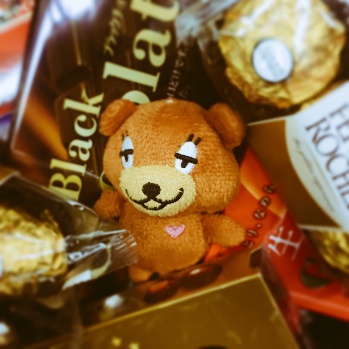 Repimaru 公式 Repimaru Twitter