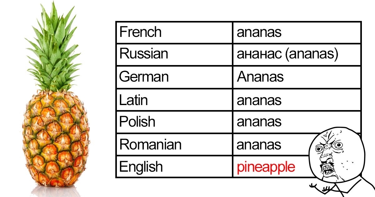 boredpanda's tweet photo. 10+ Hilarious Reasons Why The English Language Is The Worst: https://t.co/S2rPeTda33 #languagejokes #englishgrammar #funny https://t.co/GJXeUnO3Re