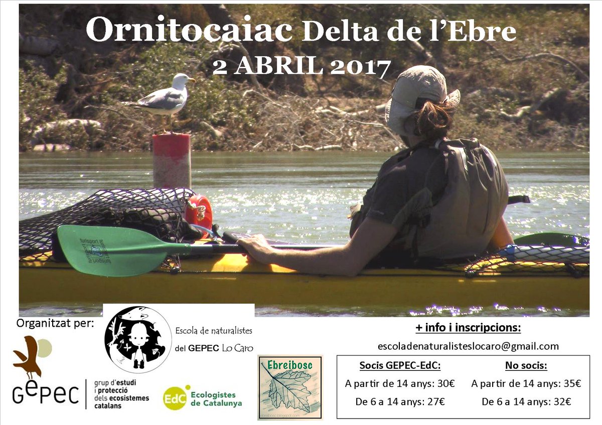 natusGEPEC's tweet photo. Ornitocaiac a l‘#Ebre, amb @gepecedc i @ebreibosc #bird https://t.co/mjsQx4tFbB