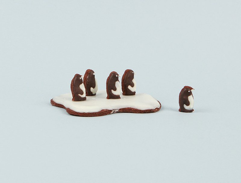 #손김건설 #과자집 짓기 키트 #이글루 버전이 출시되었습니다! 말랑말랑한 #마시멜로 눈으로 작은 나만의 이글루를 지어보세요⚒ 손김스토어sonkimstore.com에서 구매 가능합니다! 👷🏻‍♀️문의는 손김건설 메일 및 계정으로!