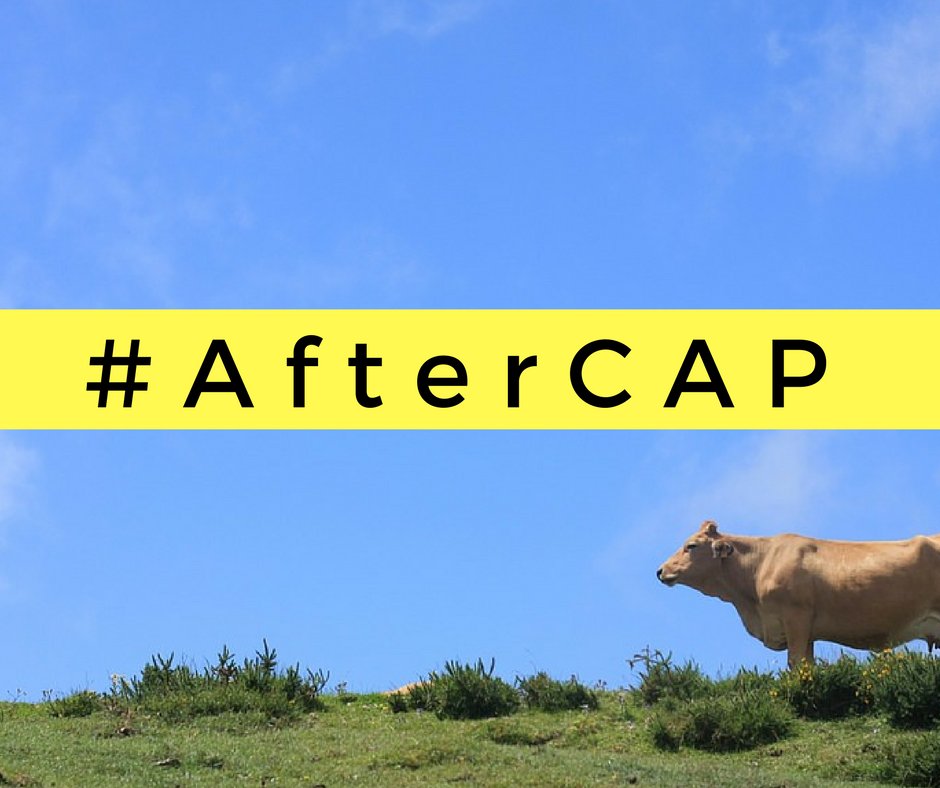 ARC2020eu's tweet photo. #AfterCAP - we summarise 6 thoughtful contributors & add some observations #CAP #Ag #Food & #Rural https://t.co/SbGLoyd8gb https://t.co/Ry7pHL7pXm